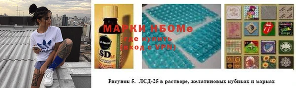 ГАЛЛЮЦИНОГЕННЫЕ ГРИБЫ Горно-Алтайск
