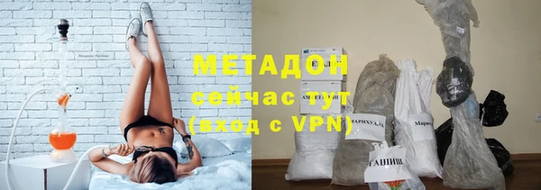 ГАЛЛЮЦИНОГЕННЫЕ ГРИБЫ Горно-Алтайск