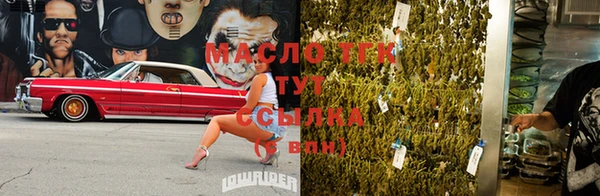ГАЛЛЮЦИНОГЕННЫЕ ГРИБЫ Горно-Алтайск