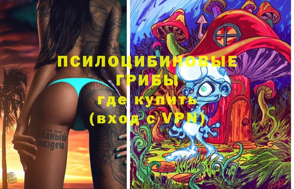 ГАЛЛЮЦИНОГЕННЫЕ ГРИБЫ Горно-Алтайск