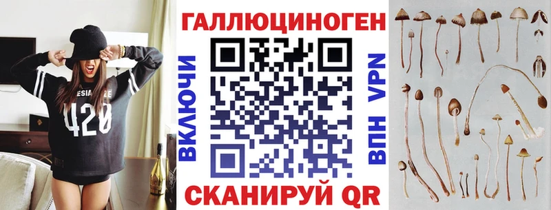Купить где  Беслан  Псилоцибиновые грибы мухоморы 