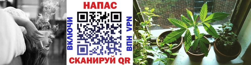Купить где  Беслан  МАРИХУАНА индика 